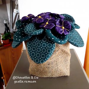 Pot de violettes