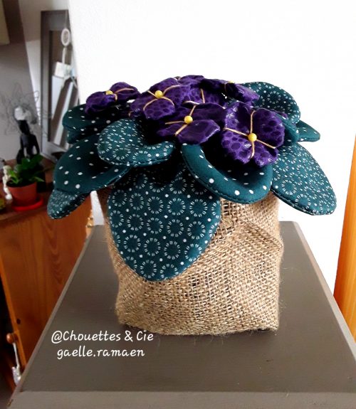 Pot de violettes