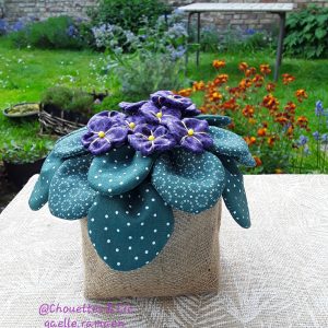 Pot de violettes