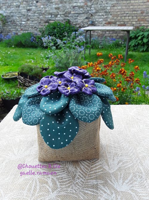 Pot de violettes